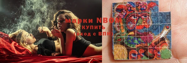 сатива Горнозаводск