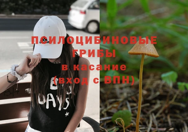прущие крисы Горняк