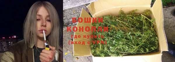 прущие крисы Горняк