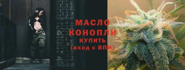 прущие крисы Горняк