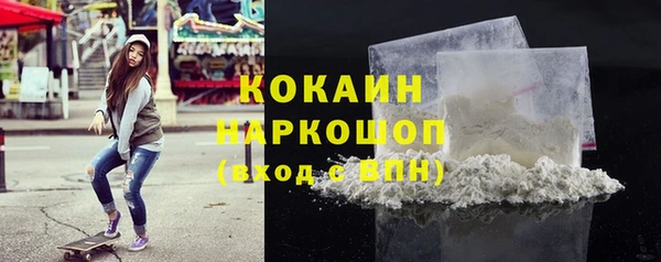 ПСИЛОЦИБИНОВЫЕ ГРИБЫ Александровское