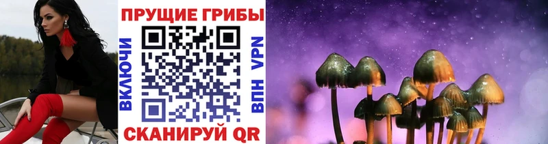 Псилоцибиновые грибы прущие грибы  Купить закладки  Ряжск 
